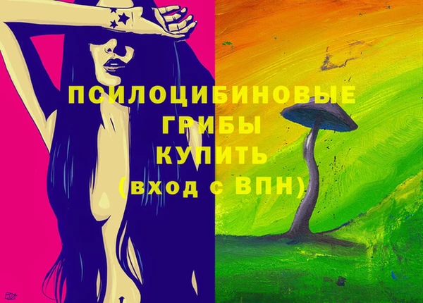 МДПВ Алексин