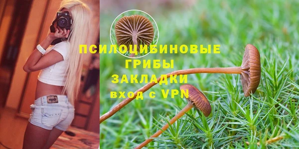 МДПВ Алексин