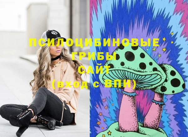 МДПВ Алексин