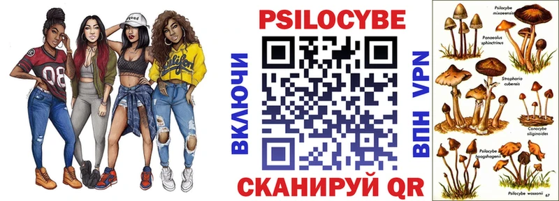 Купить где  Королёв  Галлюциногенные грибы ЛСД 